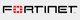 Fortinet Fortinet